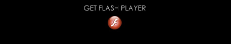 download flash player to view our site